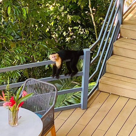Villas En El Bosque 奥霍查尔 外观 照片