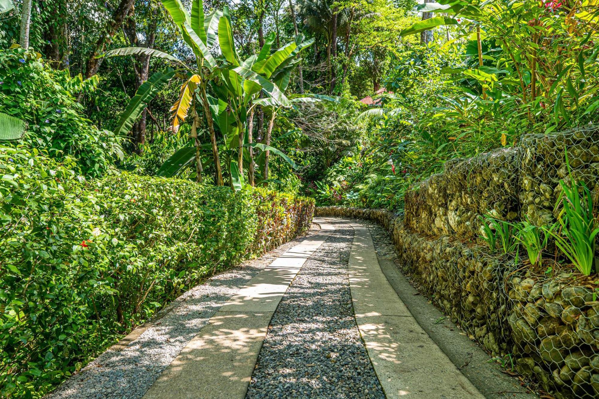 Villas En El Bosque 奥霍查尔 外观 照片
