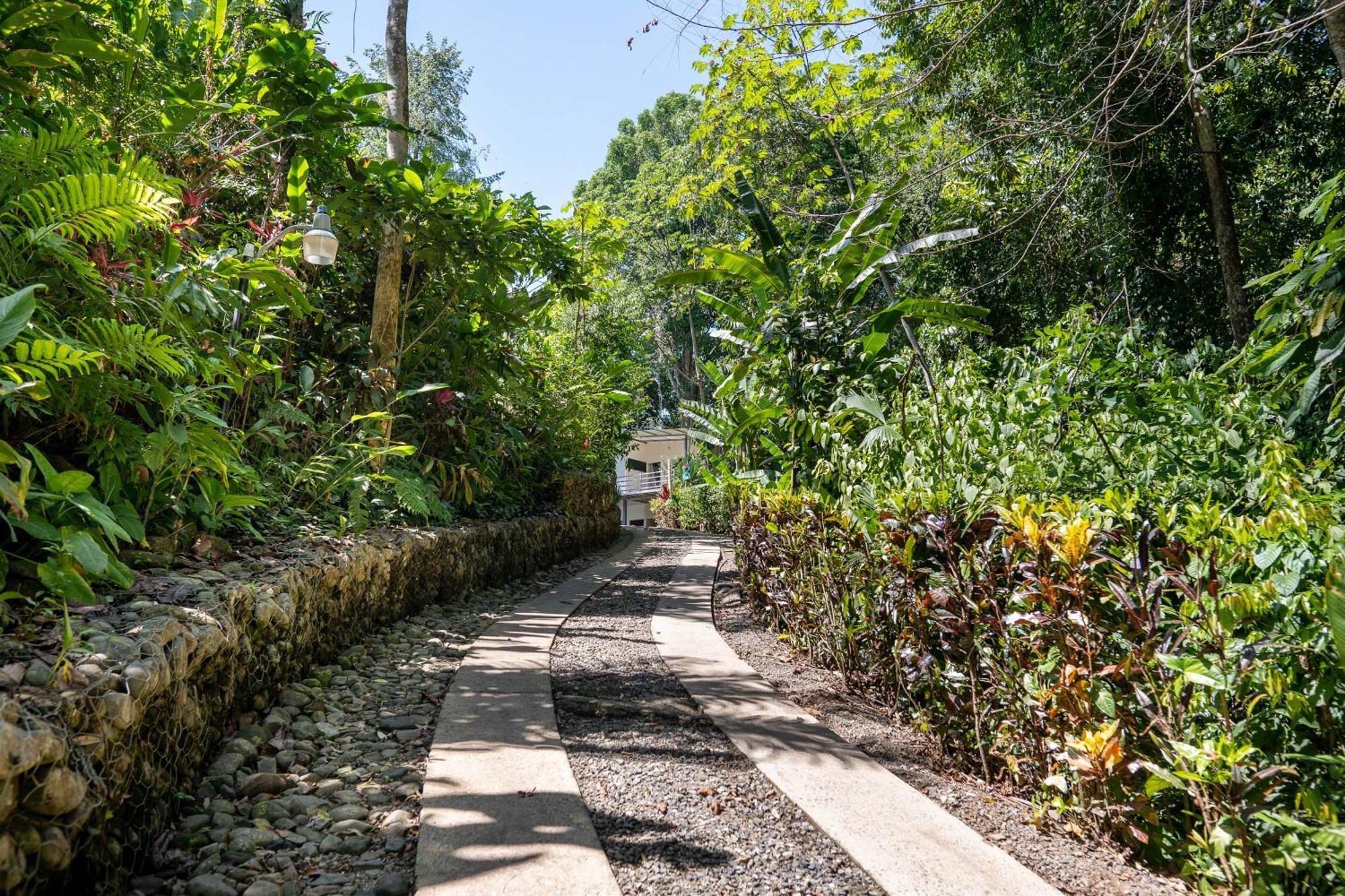 Villas En El Bosque 奥霍查尔 外观 照片