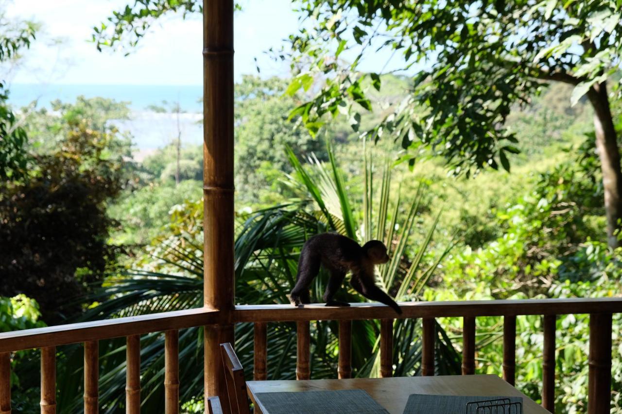 Villas En El Bosque 奥霍查尔 外观 照片
